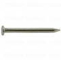 17 x 3/4" 18-8 Stainless Steel Wire Flat Head Nails