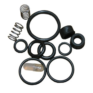 Sterling, Washerless Faucet Repair Kit, Includes O-Rings, Seats & Springs  