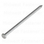 16d 3-1/2" Hot Dip Galvanized Steel Smooth Shank Common Flat Head Nails