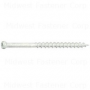 #8 x 2-1/2" White XL1500 Coated Steel Star Drive Trim Head Saberdrive Wood Screws