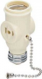Legrand 1406ICC10 Lamp Holder/Outlet Adapter, 250 W, 2-Outlet, Ivory