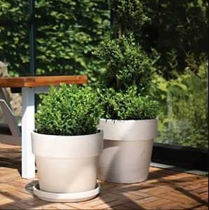 PLANTERS, PLANT ACCESSORIES