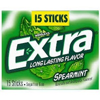 EXTRA Mint Sugar Free Chewing Gum - 15ct
