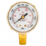 Regulator Gauge, 2 in, 0-200 PSI