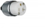 Legrand PS520CACC20 Armored Connector, 2 -Pole, 20 A, 125 V, NEMA: NEMA 5-20R, White